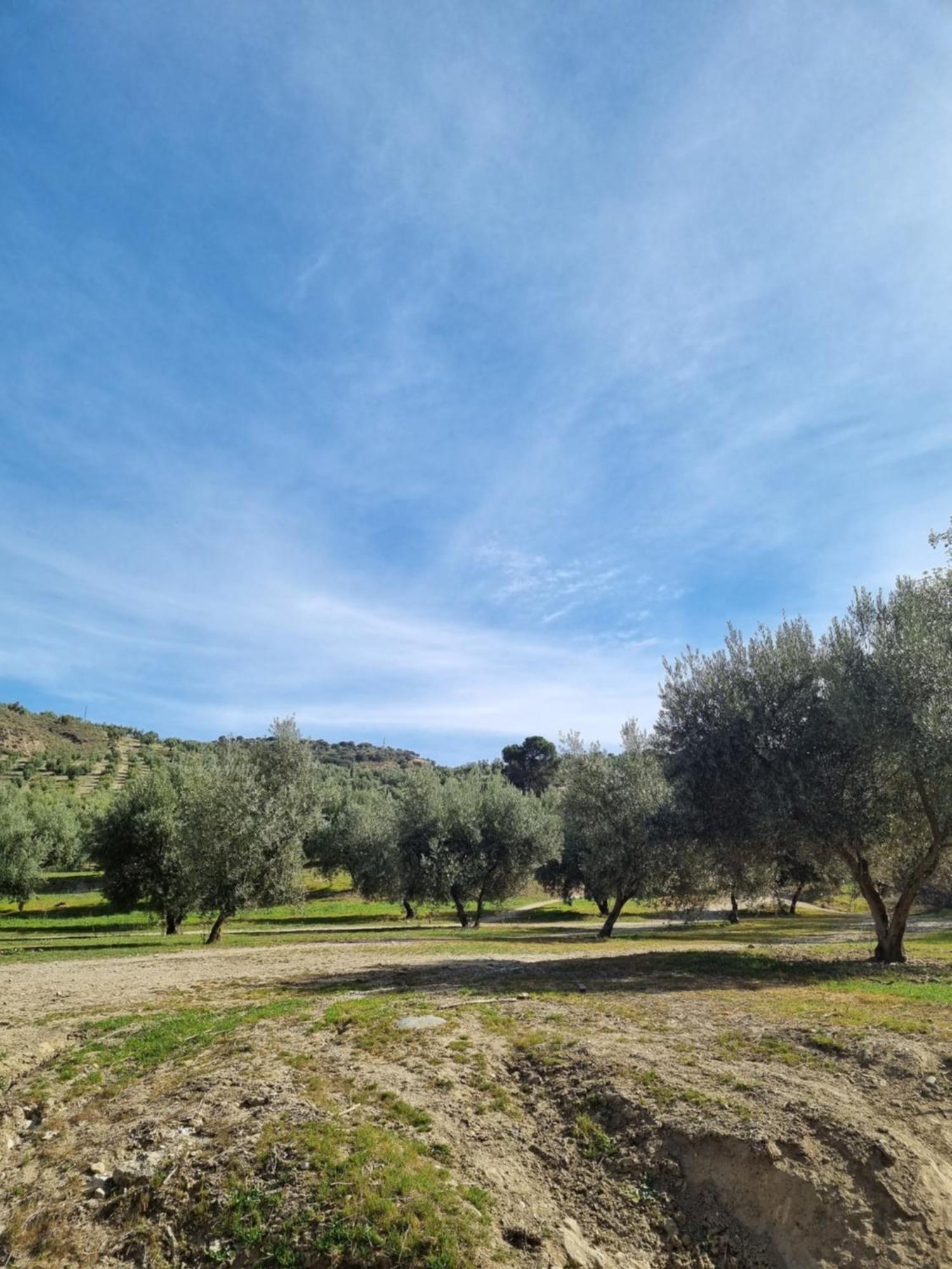 La Colina Ladyblue Apto Acogedor Cerca De Sierra Nevada Y Alhambra Apartamento Cenes De La Vega Exterior foto